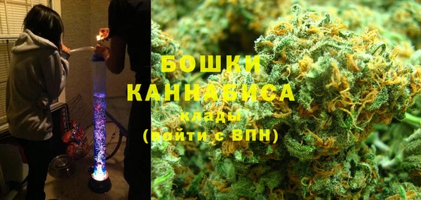 спиды Бердск