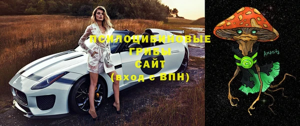 Альфа ПВП Михайловск