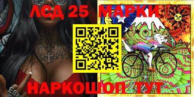 гидропоника Будённовск