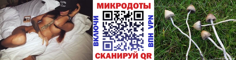 ОМГ ОМГ рабочий сайт  Салават  Псилоцибиновые грибы Cubensis  где найти наркотики 