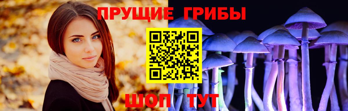 Псилоцибиновые грибы Psilocybine cubensis  Вход с VPN  Салават 